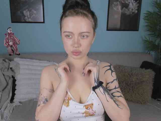 DragonFlya webcam
