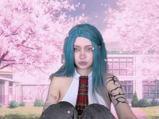 DragonFlya webcam