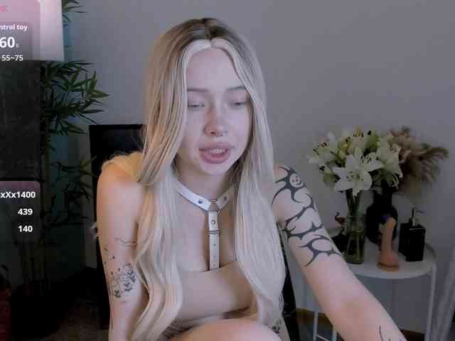 DragonFlya webcam