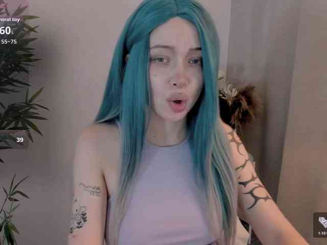 DragonFlya webcam