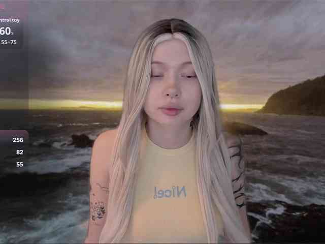 DragonFlya webcam