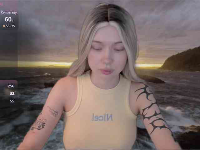 DragonFlya webcam