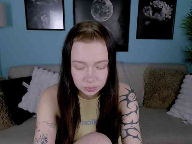DragonFlya webcam