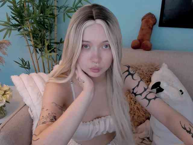 DragonFlya webcam