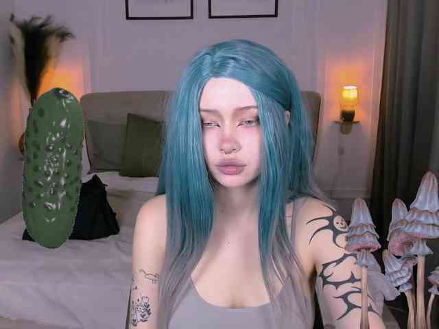 DragonFlya webcam
