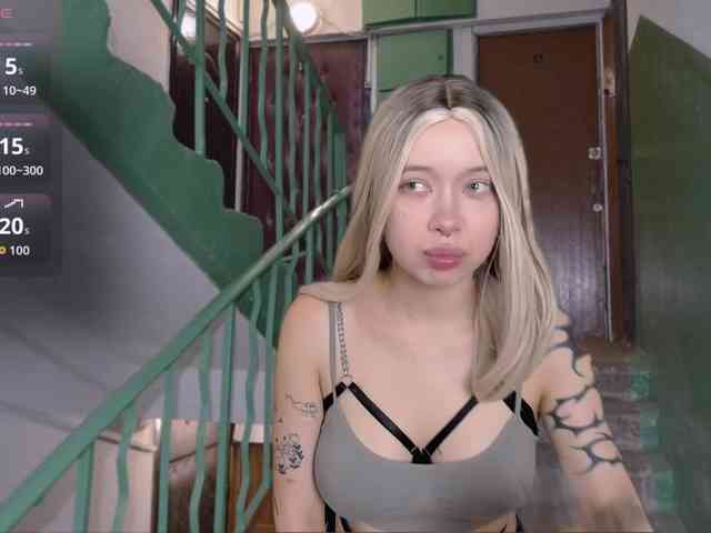 DragonFlya webcam