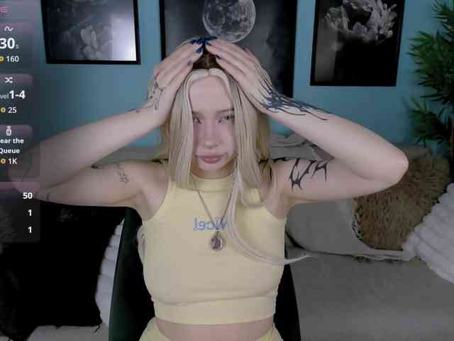 DragonFlya webcam