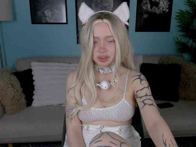 DragonFlya webcam