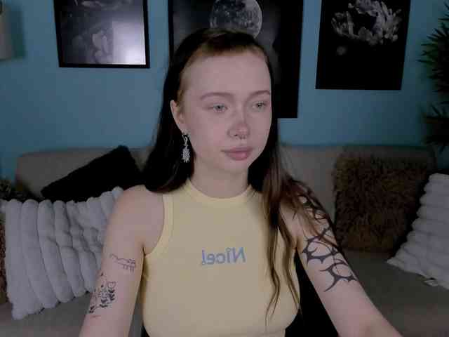 DragonFlya webcam