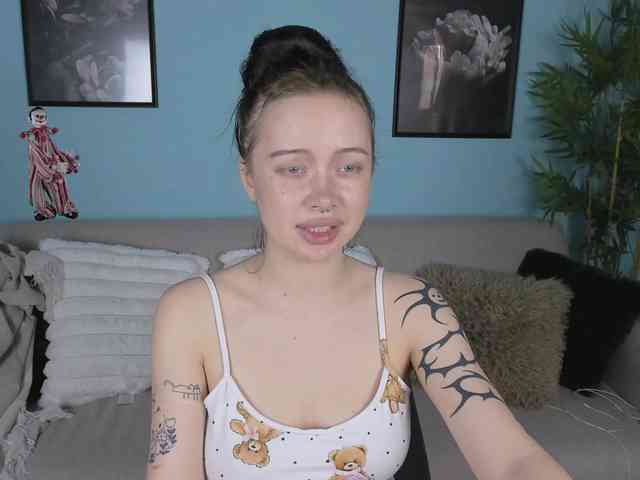 DragonFlya webcam