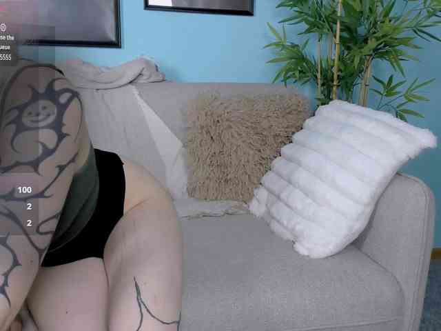DragonFlya webcam