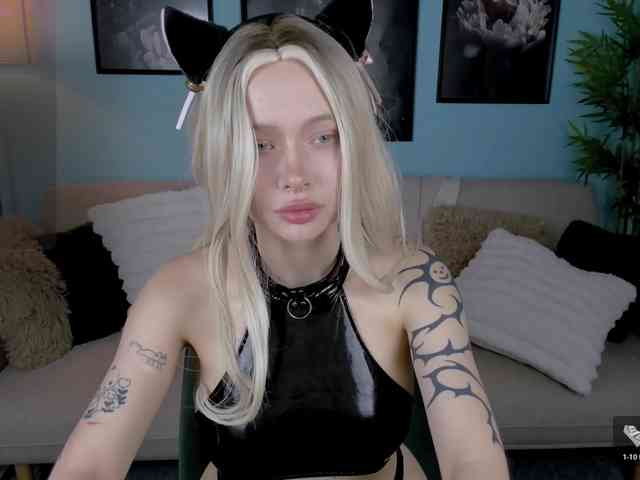 DragonFlya webcam
