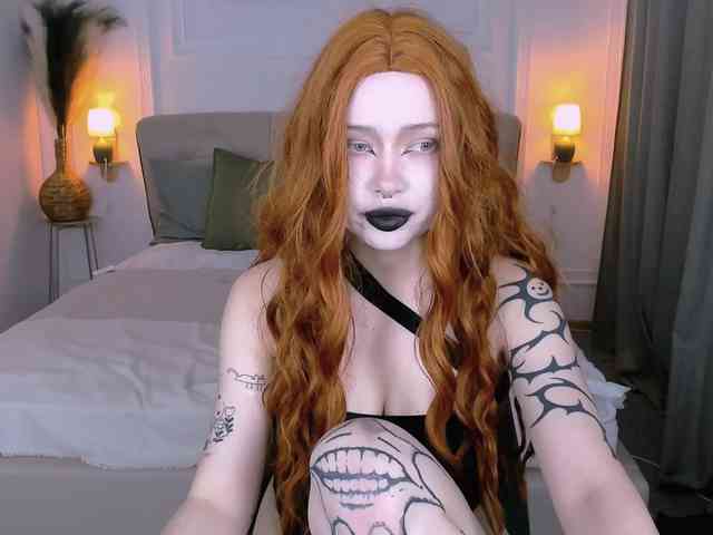 DragonFlya webcam