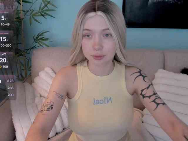 DragonFlya webcam