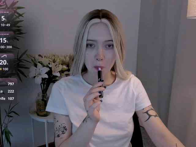 DragonFlya webcam