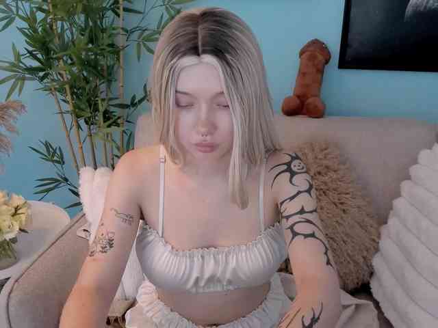 DragonFlya webcam