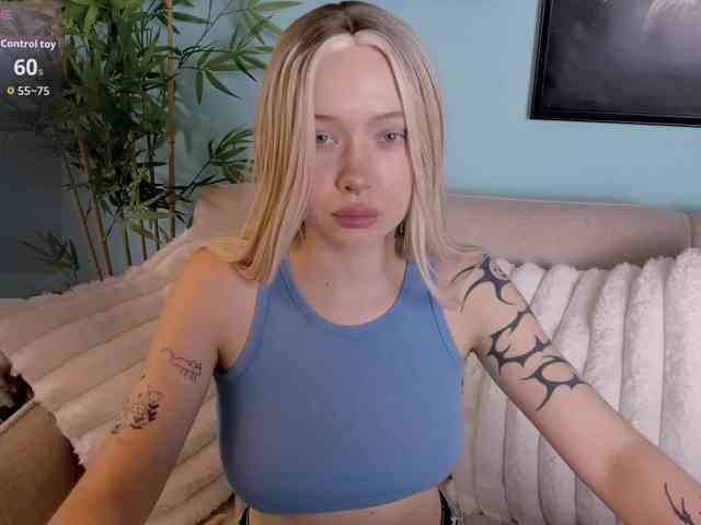 DragonFlya webcam