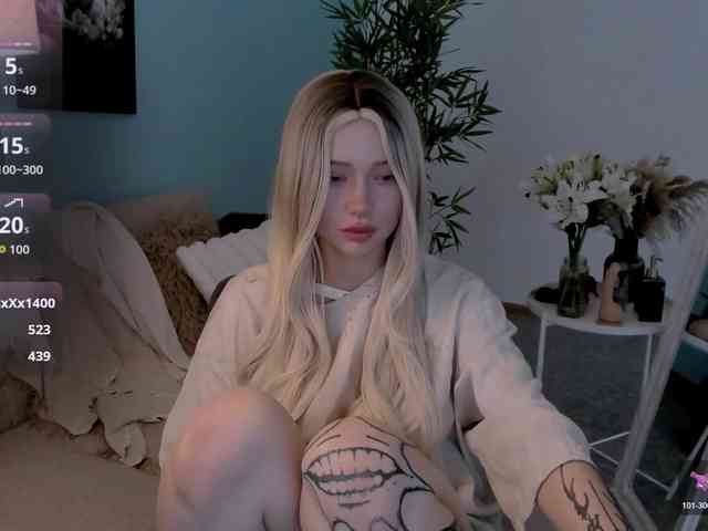 DragonFlya webcam