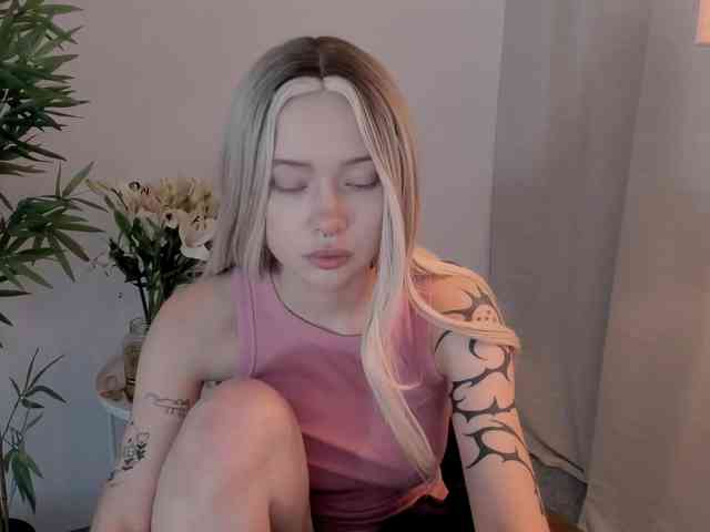 DragonFlya webcam