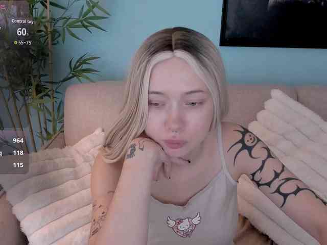 DragonFlya webcam