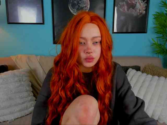 DragonFlya webcam