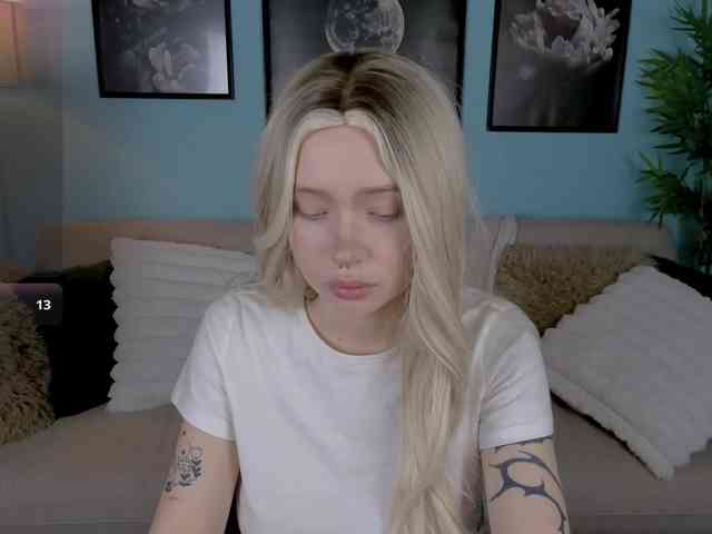 DragonFlya webcam