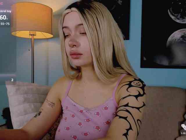 DragonFlya webcam