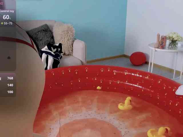 DragonFlya webcam