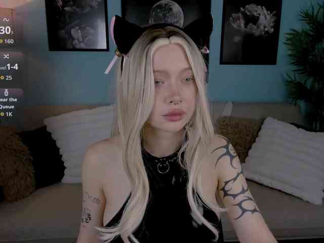 DragonFlya webcam