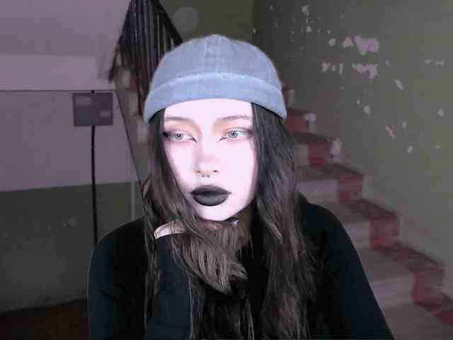 DragonFlya webcam
