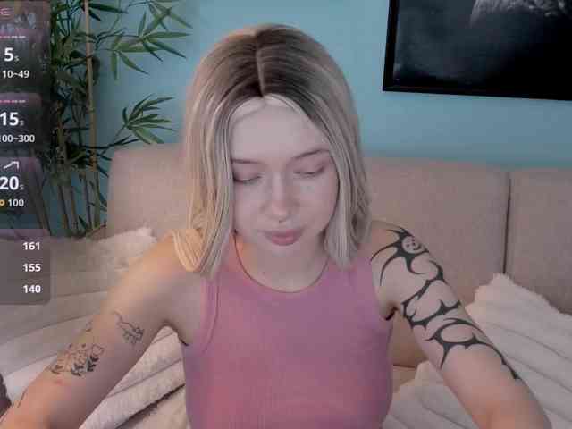 DragonFlya webcam