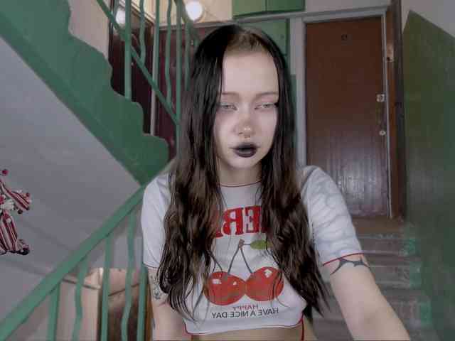 DragonFlya webcam