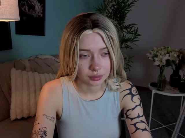DragonFlya webcam