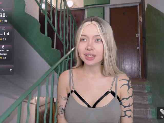 DragonFlya webcam