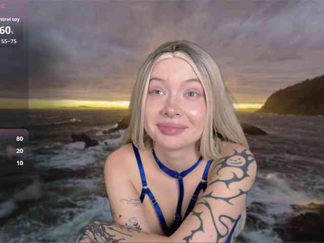 DragonFlya webcam