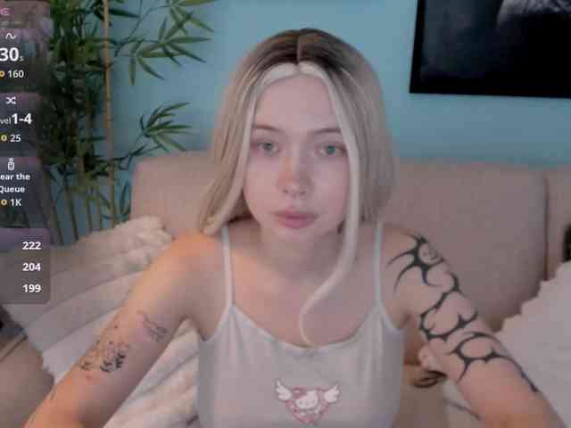 DragonFlya webcam