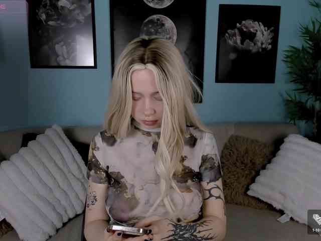 DragonFlya webcam