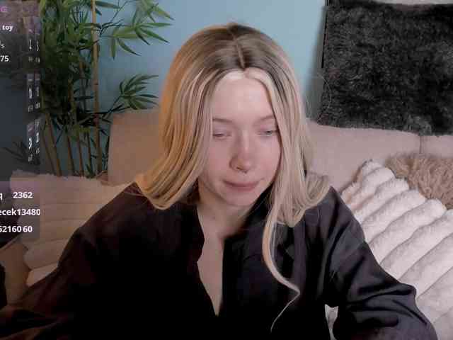 DragonFlya webcam