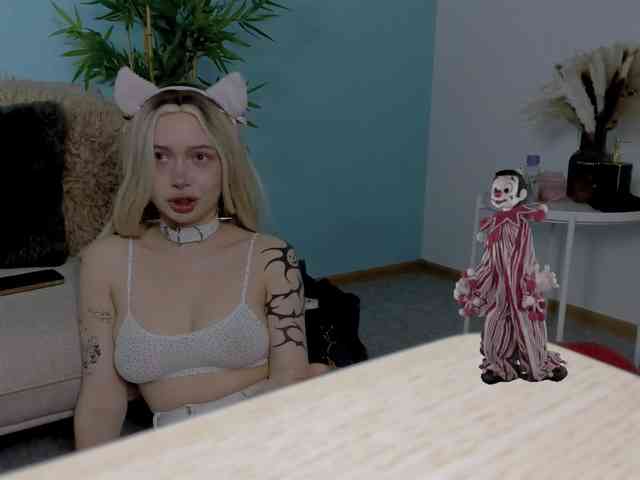 DragonFlya webcam