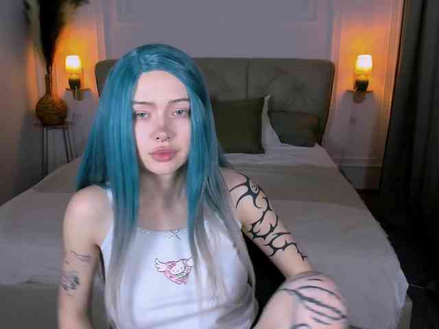 DragonFlya webcam
