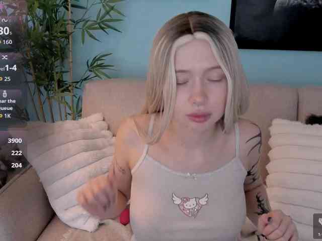 DragonFlya webcam