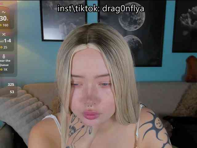 DragonFlya webcam