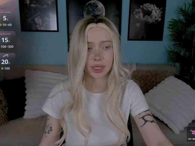 DragonFlya webcam