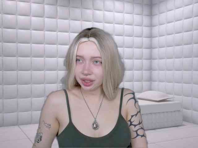 DragonFlya webcam