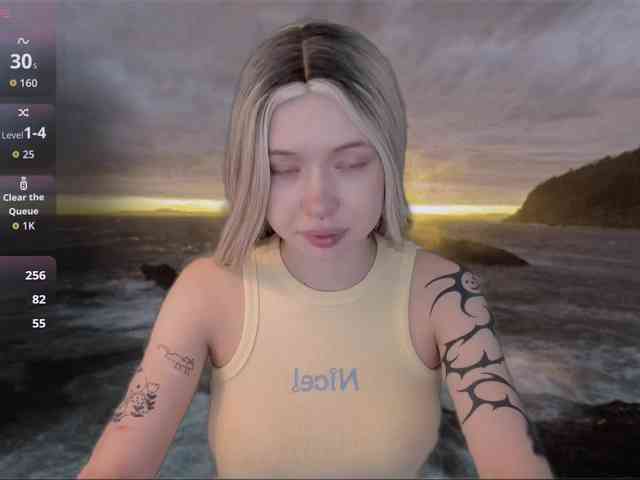 DragonFlya webcam