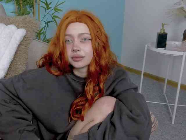 DragonFlya webcam
