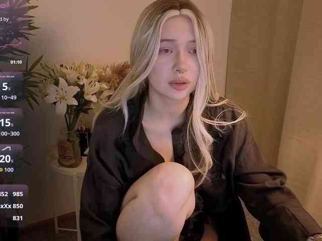DragonFlya webcam