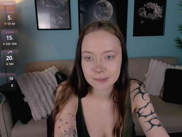 DragonFlya webcam
