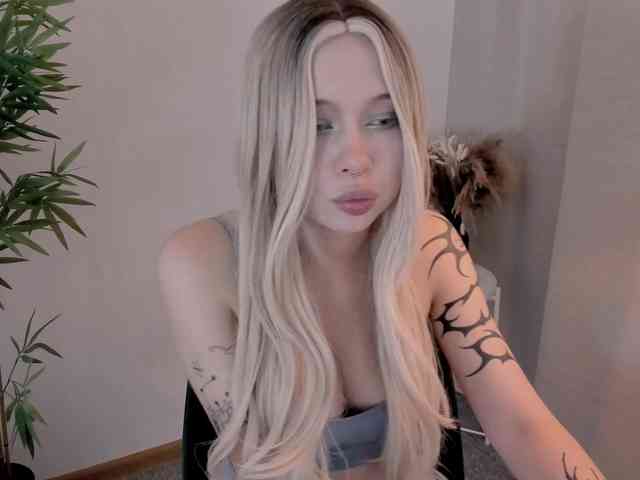 DragonFlya webcam