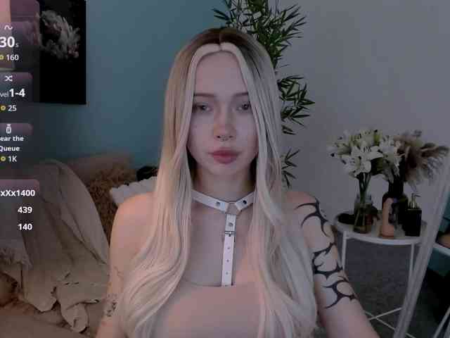 DragonFlya webcam